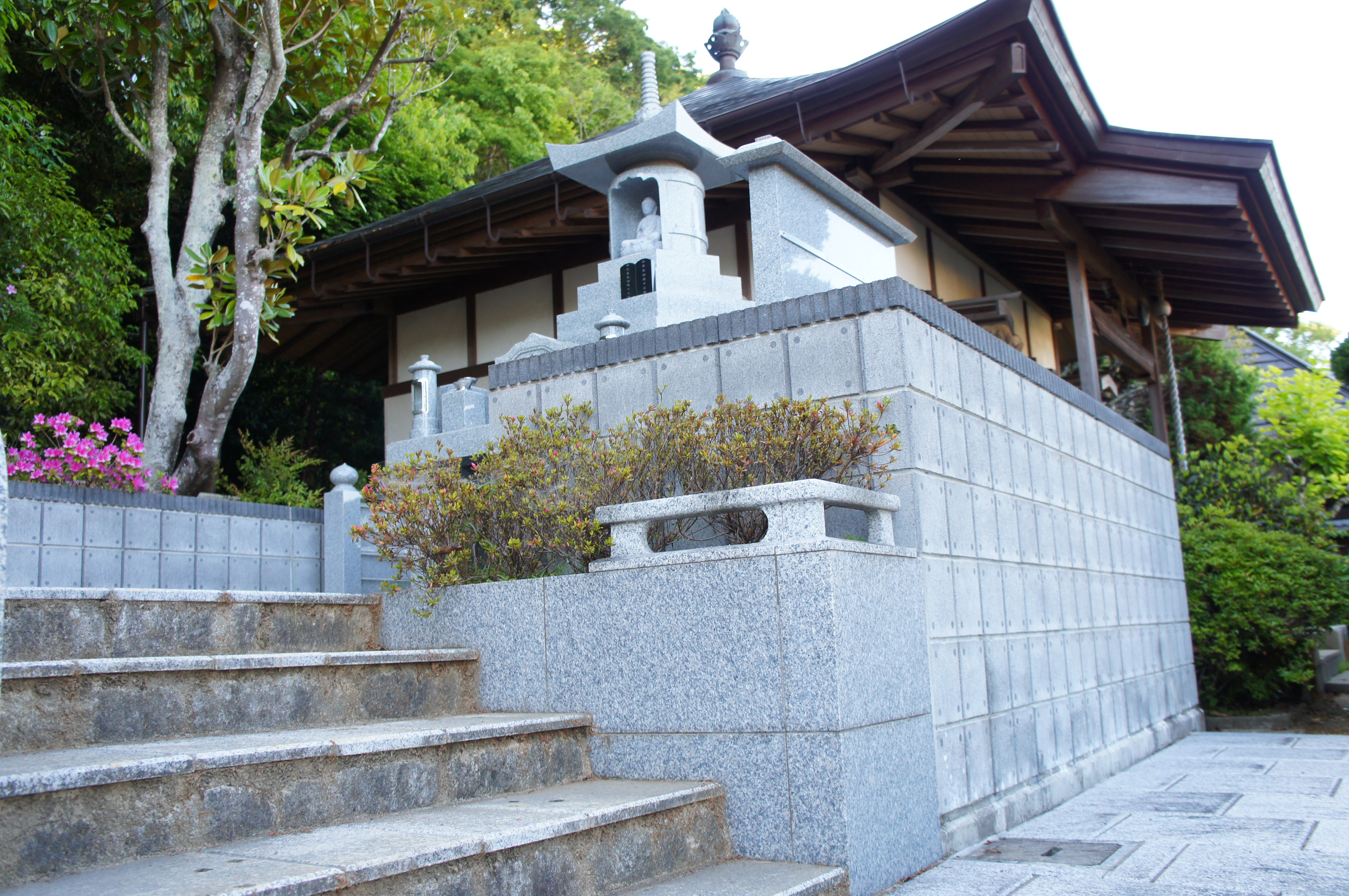 SONY DSC