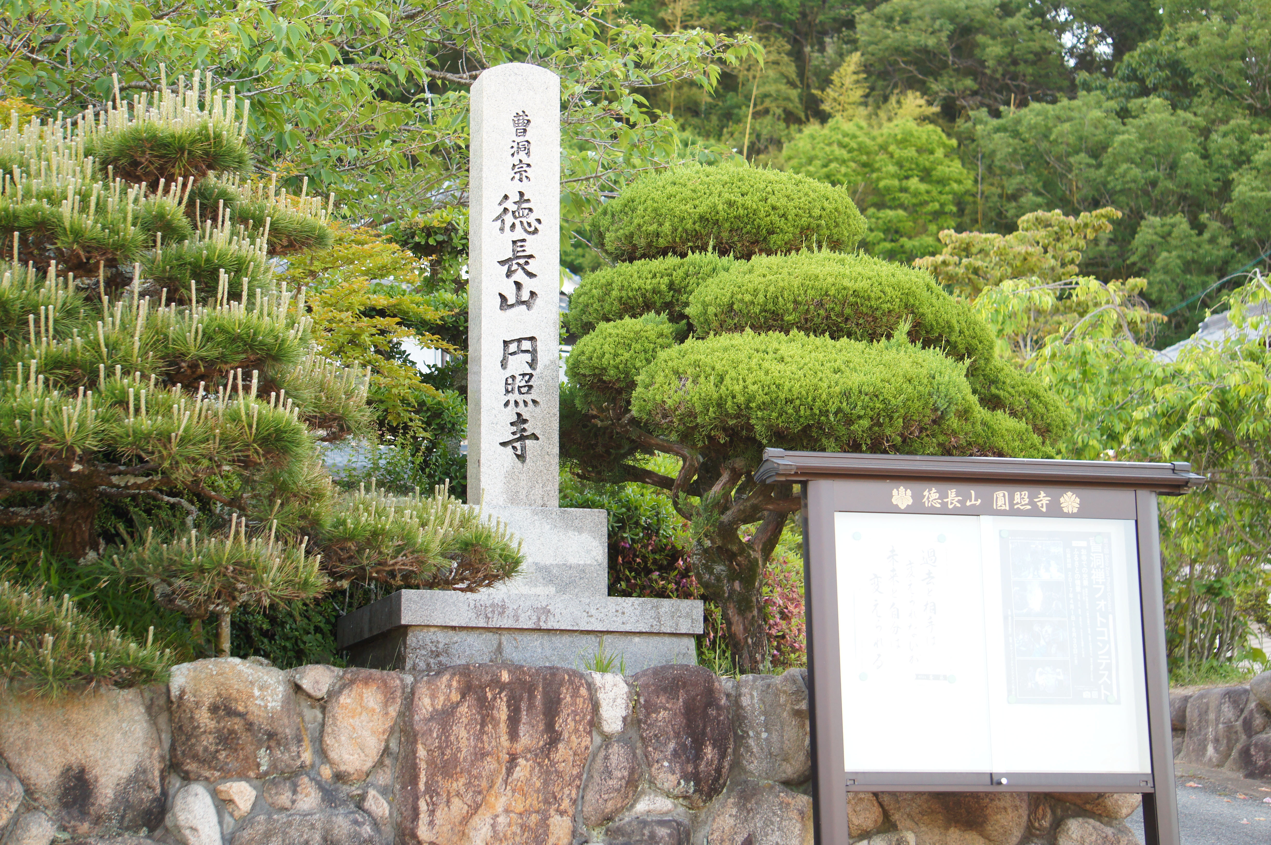 SONY DSC